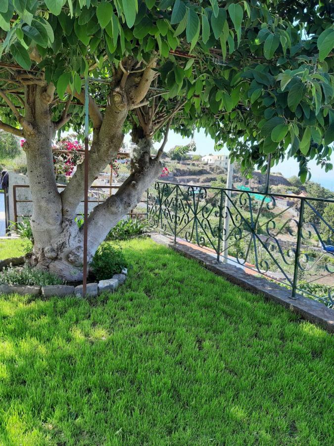 Отель Casa Velha D Fernando E Casa Avo Augusta Рибейра-Брава Экстерьер фото